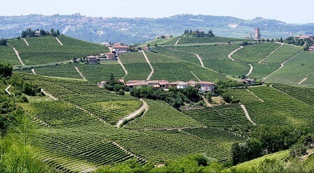 Piemont, eine der großen Weinregionen